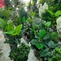 واردات وپخش انواع درختچه های مصنوعی