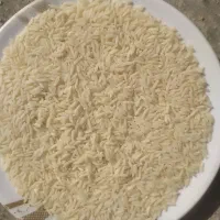 فروش برنج طارم هاشمی درجه یک