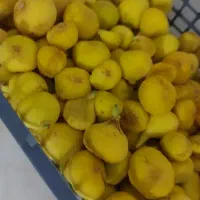 انجیر