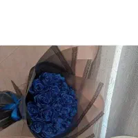 کادویی|کلکسیون و سرگرمی|شیراز, زرهی|دیوار