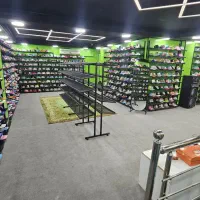 رگال ویترین شلف ایستاده