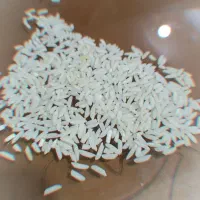 برنج هاشمی زرد دم سورتینگ شده درجه اعلا