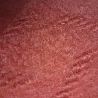 موکت