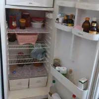 یخچال مارک پارس