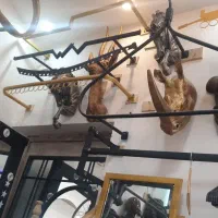 تازی را رخت بند منید رگال قفسه بندی|بندرخت و رختآویز|تهران, نعمتآباد|دیوار