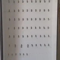 قفسه ام دی اف نو