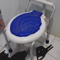 صندلی توالت فرنگی