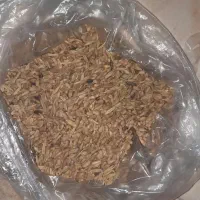 گندم سالم وشکسته ۸گونی