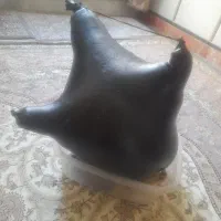 هیزه گوسفدی