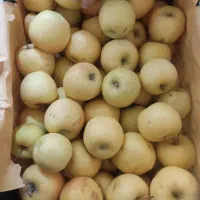 فروشنده میوه فروشی