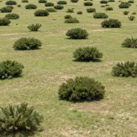 500-هکتار-زمین-سند-تک-برگ-فروشی