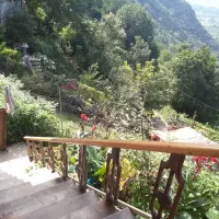 ویلای جنگلی درآپچالکی