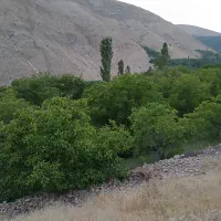 فروش باغ
