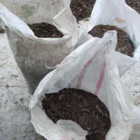 ۱۰ کیسه کود گوسفندی