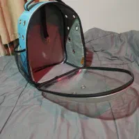 کوله حمل سگ و گربه
