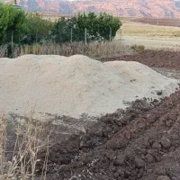 کاه گندم دیم