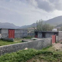 فروش مزرعه داپروری