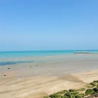 هارد ۲ ترا بایت بنفش  در حد نو