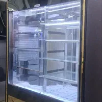 یخچال ایستاده مرغ