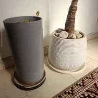 گلدان