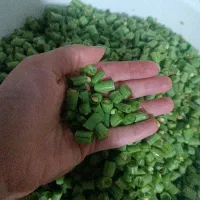 لوبیا خردشده