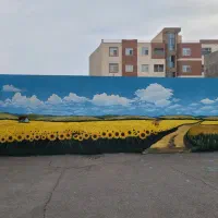 اجرای تخصصی نقاشی دیواری  داخلی و خارجی