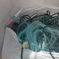 تور اسبی شلابی