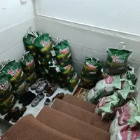 برنج پاکستانی سون استاروجهان گل۳۸۶