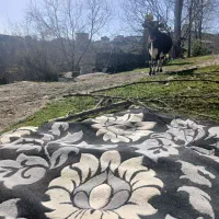 فروش فرش خوشرنگ