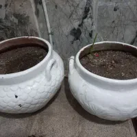 تعدادی گلدان سفالی بزرگ