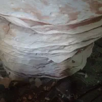 نان محلی تنوری با ذغال