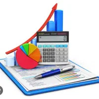 حسابدار مسلط به حسابداری