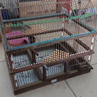 قفس سهره دست باف شیک