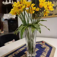 گلدان بزرگ خارجی