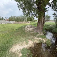 زمین