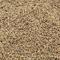 توت خشک تاره و با کیفیت
