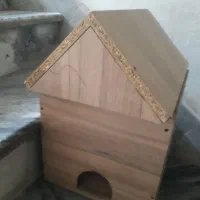 سلام.خانه.گربه.یاسگ اندی اف