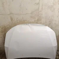 کاپوت ساینا