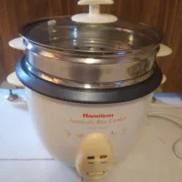 پلوپز و بخارپز همیلتون