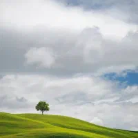 طبیعت گردی