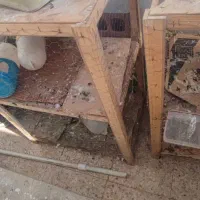 قفس جوجه گیری