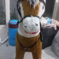 اسب الا و کلنگی .