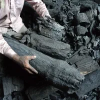 ذغال کبابی و خرید چوب