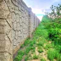 باغ ویلای
