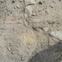 سنگ روحانی  سنگ پادزهر  کهربا  کارشناسی رایگان