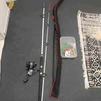لنسر کروکدیل