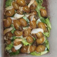 کار در منزل،پرورش حلزون آلبینوی آفریقایی