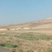 کاه نخود