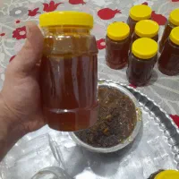 زنبور عسل کوهی وحشی