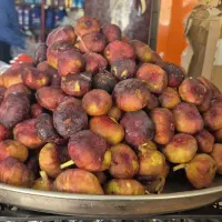 انجیر تازه